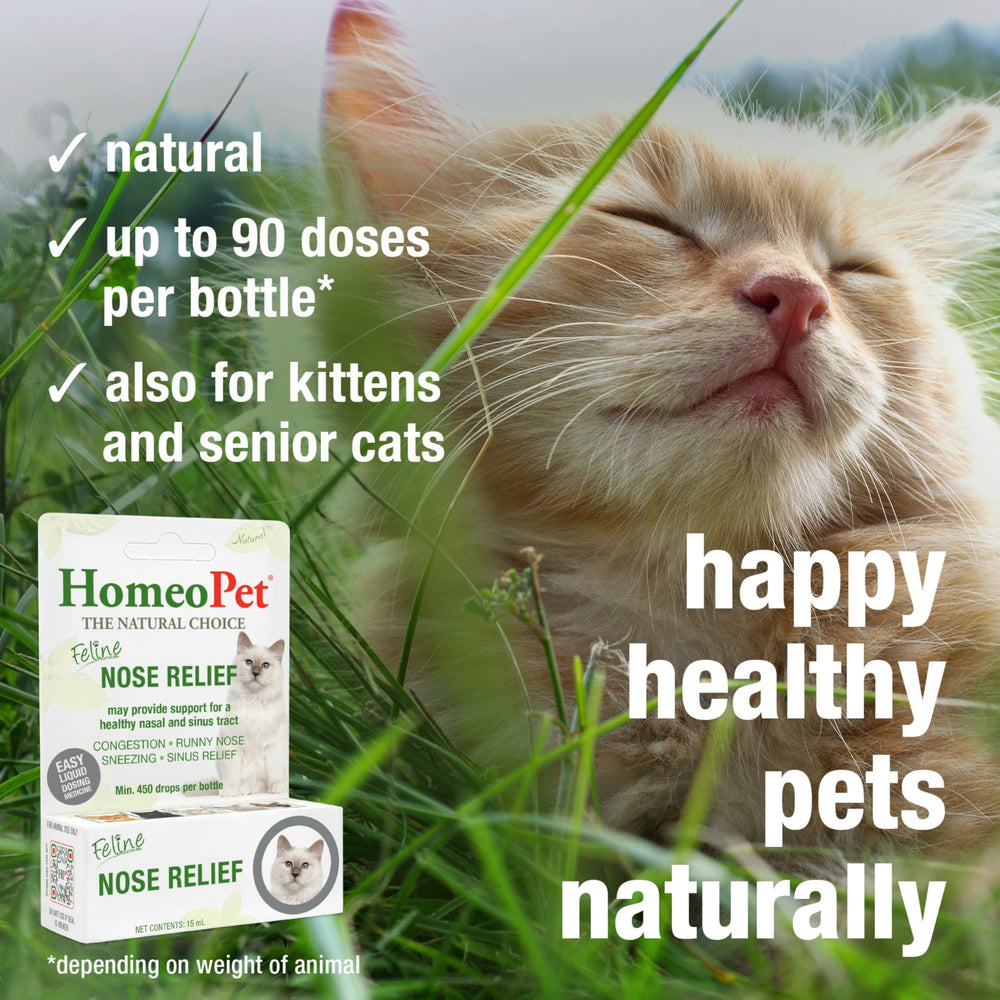 HomeoPet Feline Nose Relief administrándose a un gato mostrando comodidad y control