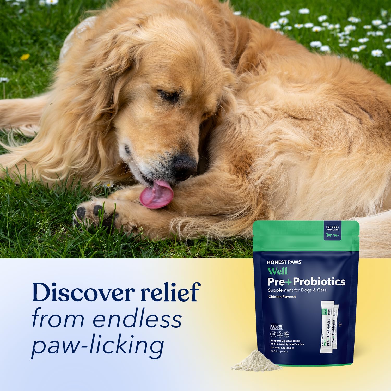 Honest Paws tamaño relativo junto a una caja de comida, formato compacto