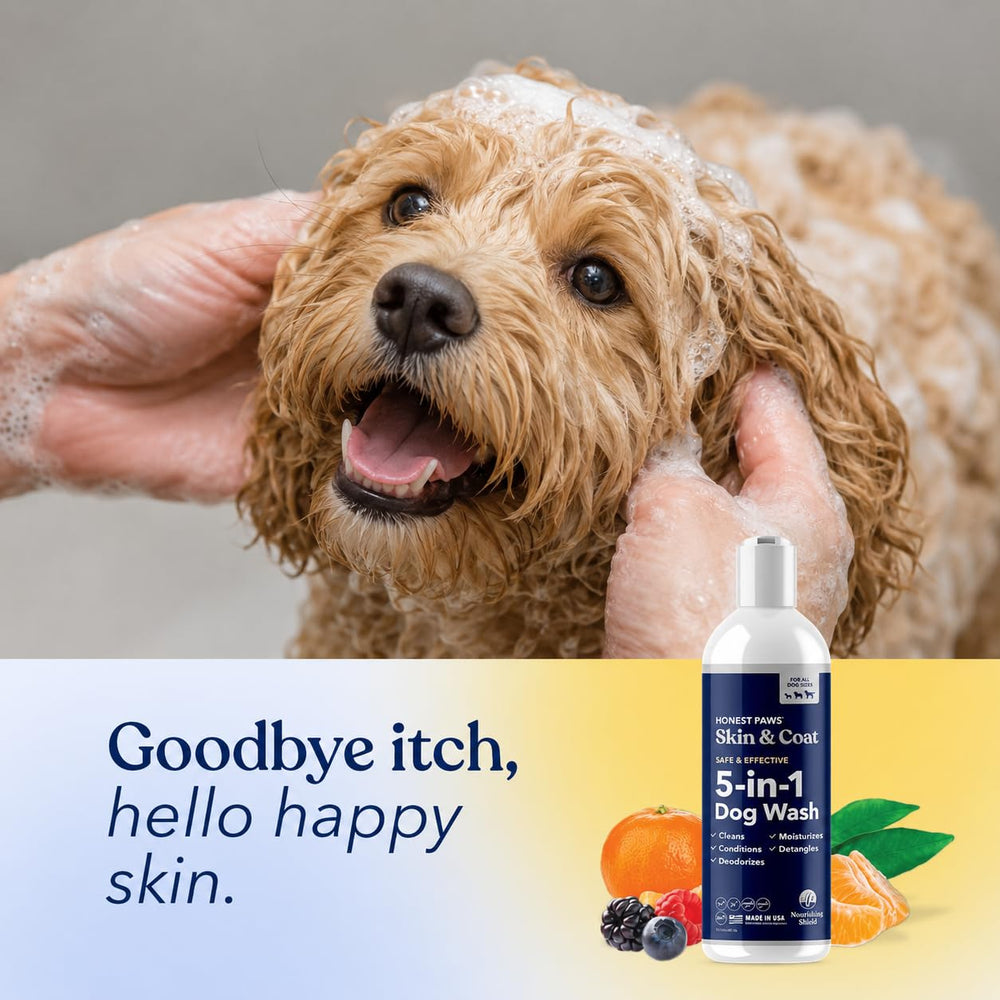 Honest Paws botella junto a una regla para mostrar tamaño y cantidad útil