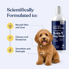 Honest Paws textura de espuma cremosa que hidrata y acondiciona el pelaje