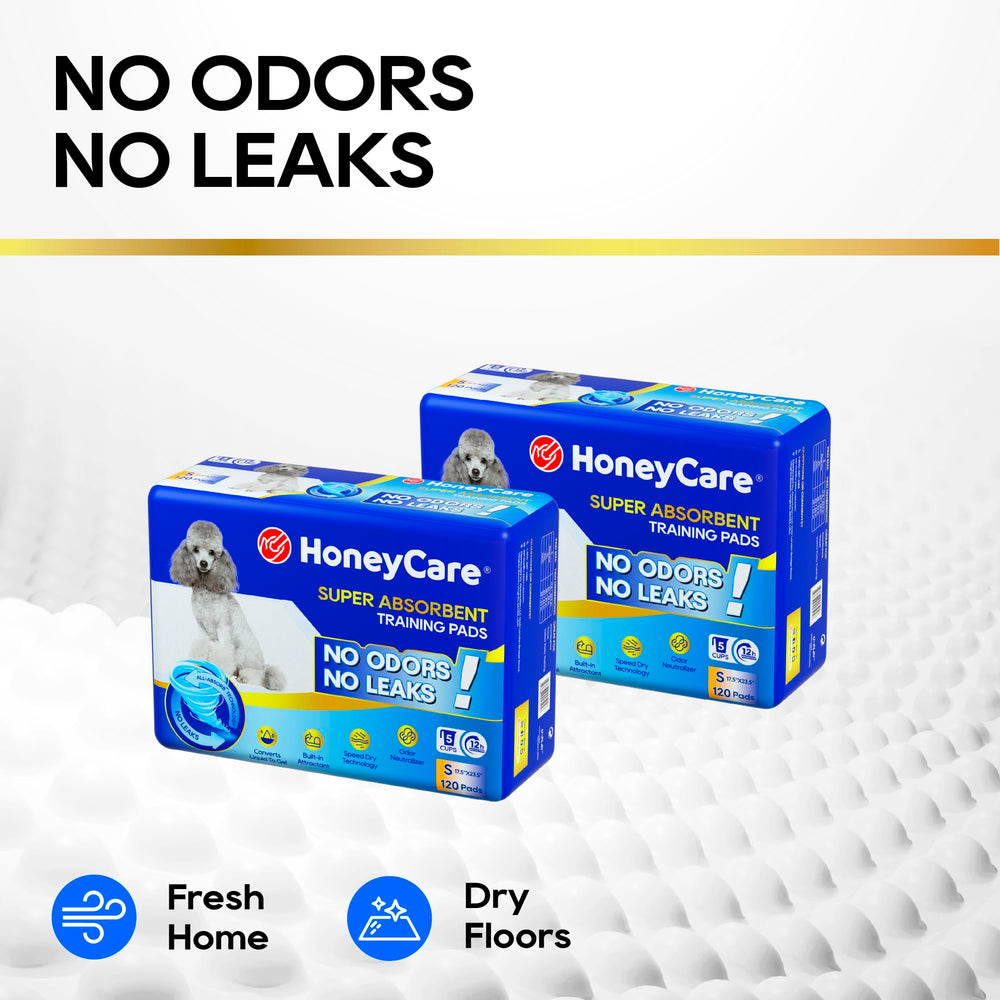 HONEY CARE embalaje con 120 unidades para reposición frecuente y ahorro