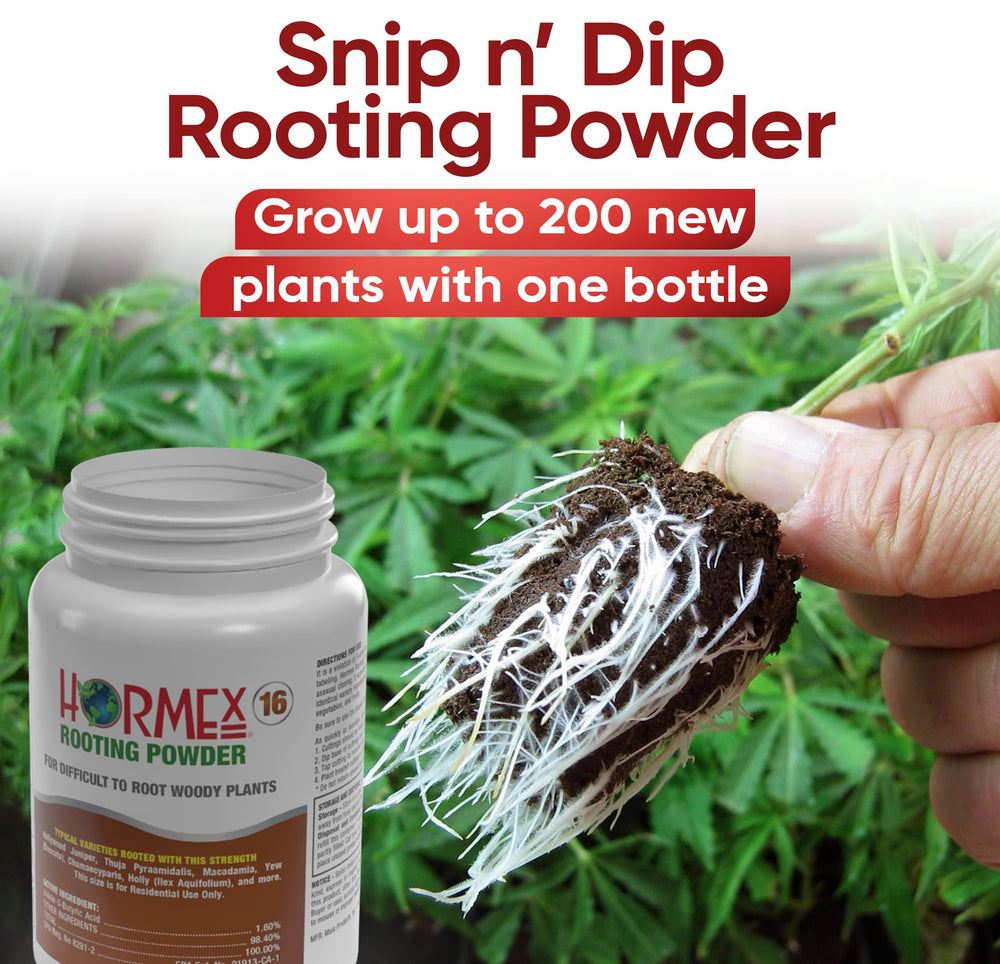 Label and dosage instructions on Hormex container ensuring correct application