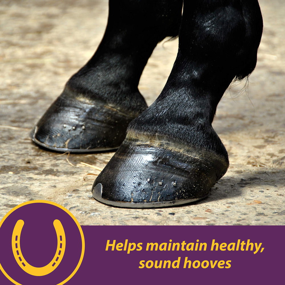 Horse Health crumbles textura detallada que facilita mezcla y consumo