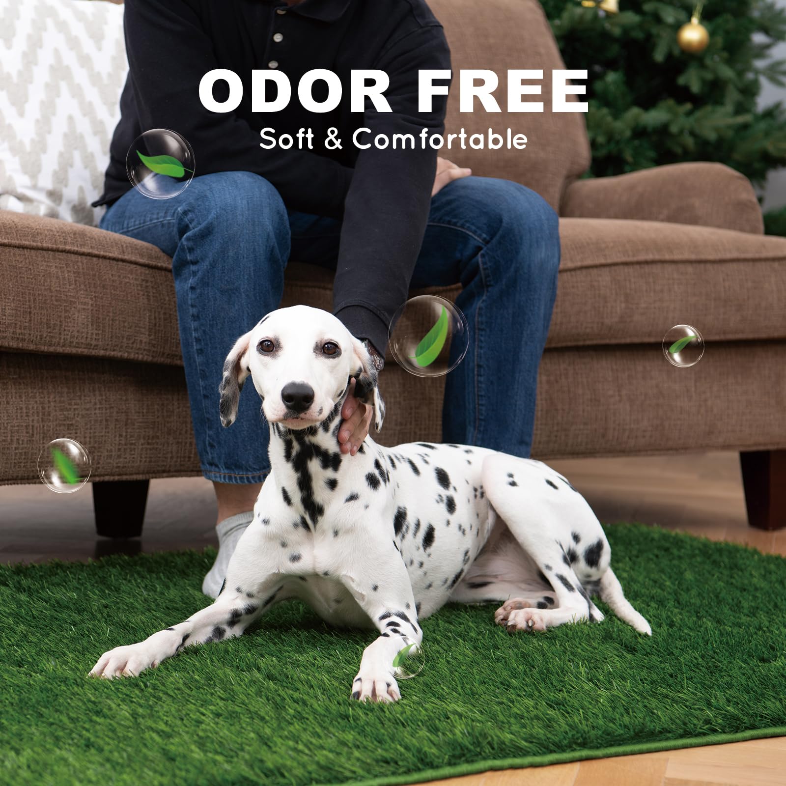 HQ4US 4LEGS comparación con perro para elegir la talla adecuada