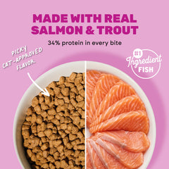 I AND LOVE AND YOU close-up of kibble texture highlighting crunchy protein bites