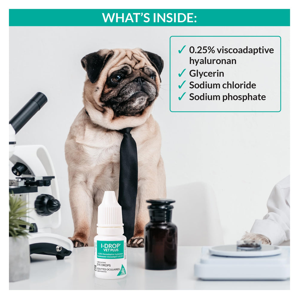 I-DROP Vet Plus aplicación en ojo de perro por mano, facilidad de uso doméstico