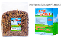 I LOVE WORMS gallina comiendo larvas, beneficio: estimula forrajeo y aporte nutritivo