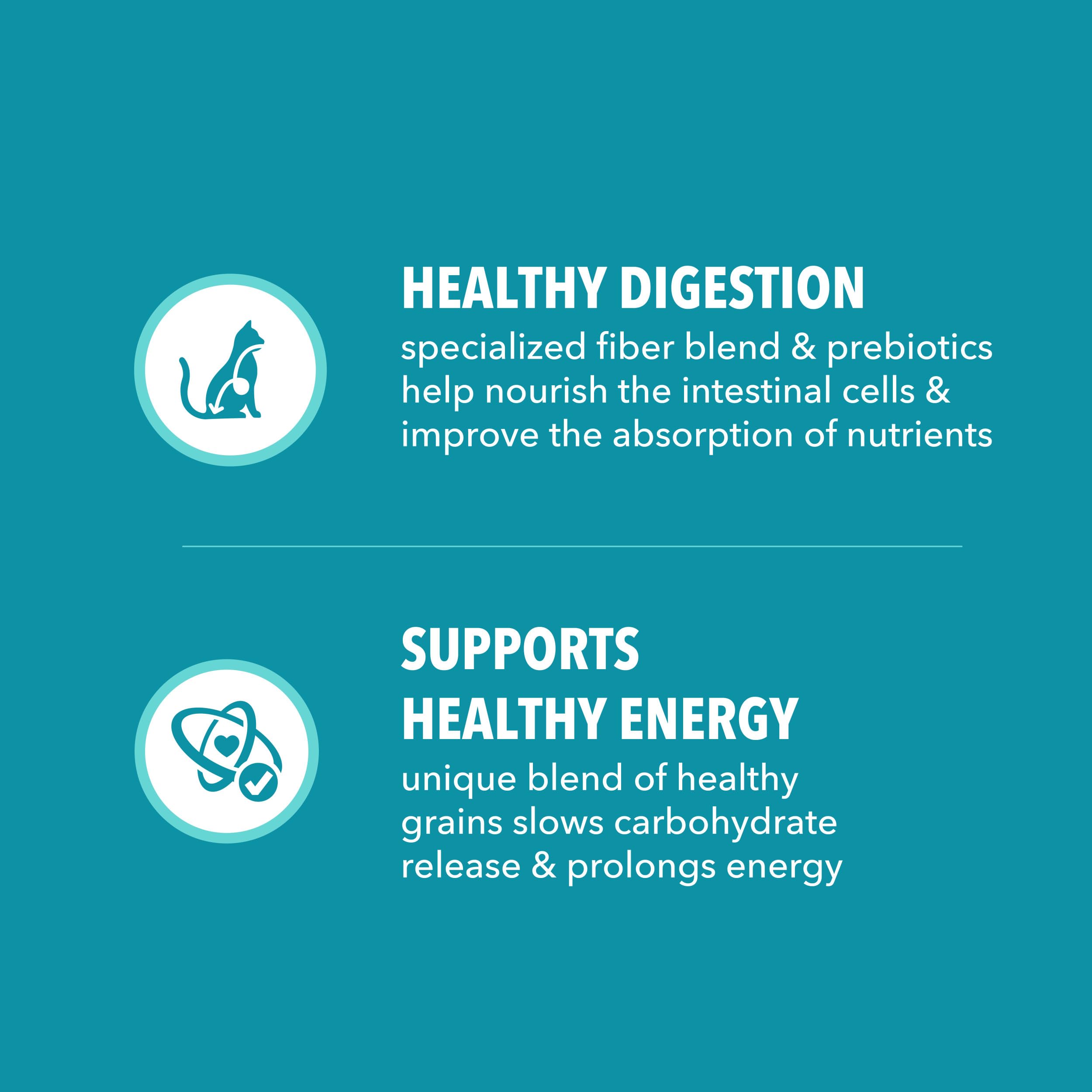 IAMS etiqueta nutricional clara explicando beneficios para salud