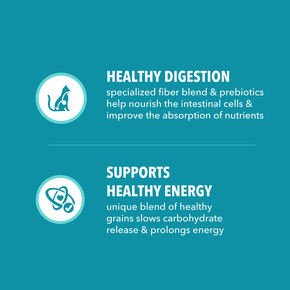 IAMS etiqueta nutricional clara explicando beneficios para salud