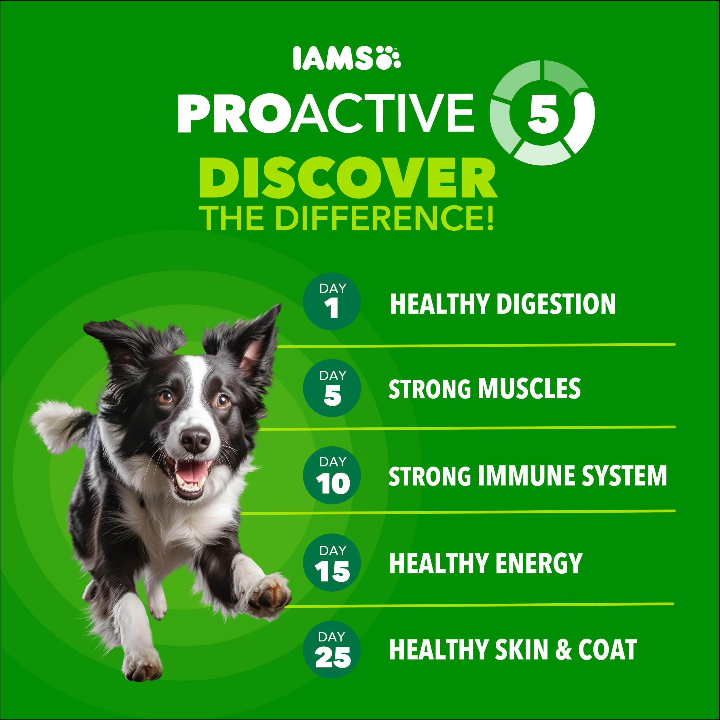 IAMS enfoque en glucosamina y condroitina para movilidad