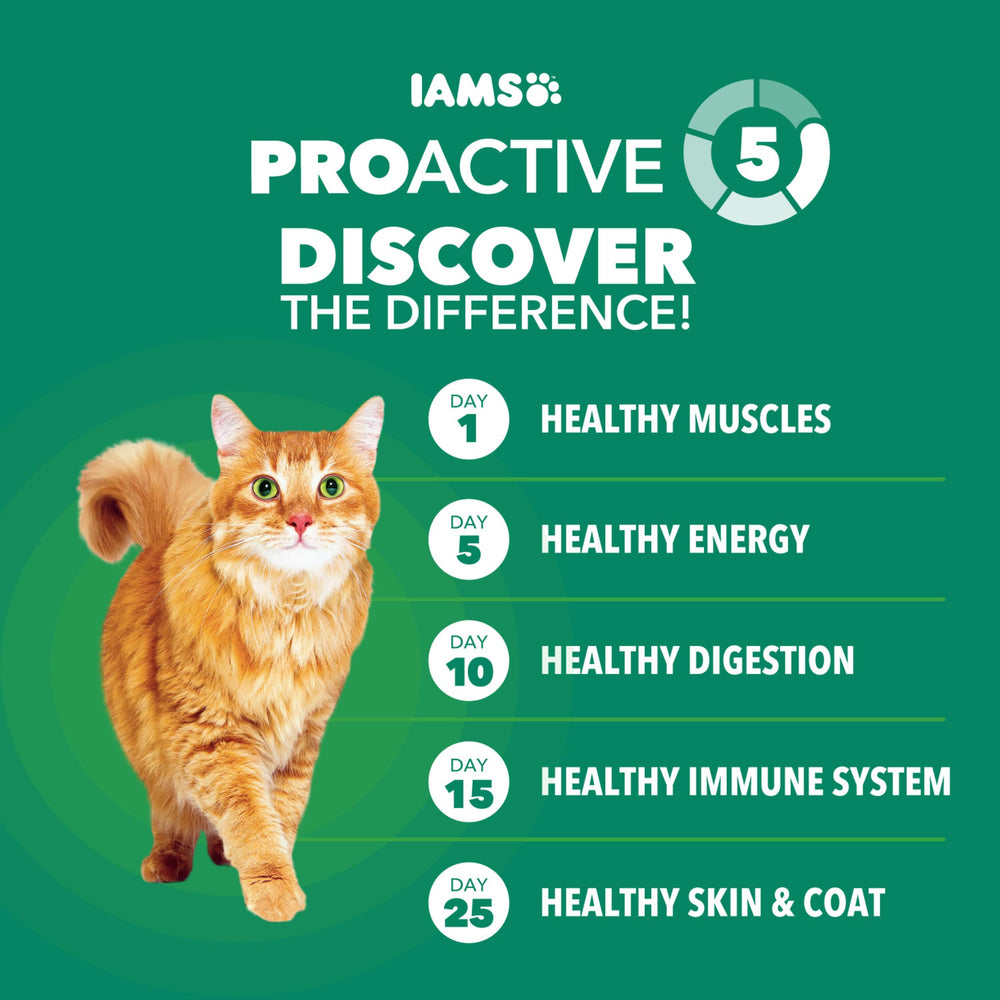 IAMS comparación de tamaño del paquete para visualizar escala real