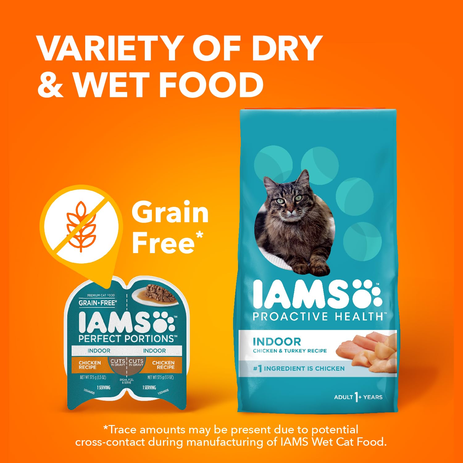 IAMS gato comiendo en interior, apoyo a hidratación y bienestar