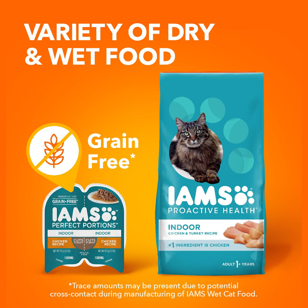 IAMS gato comiendo en interior, apoyo a hidratación y bienestar