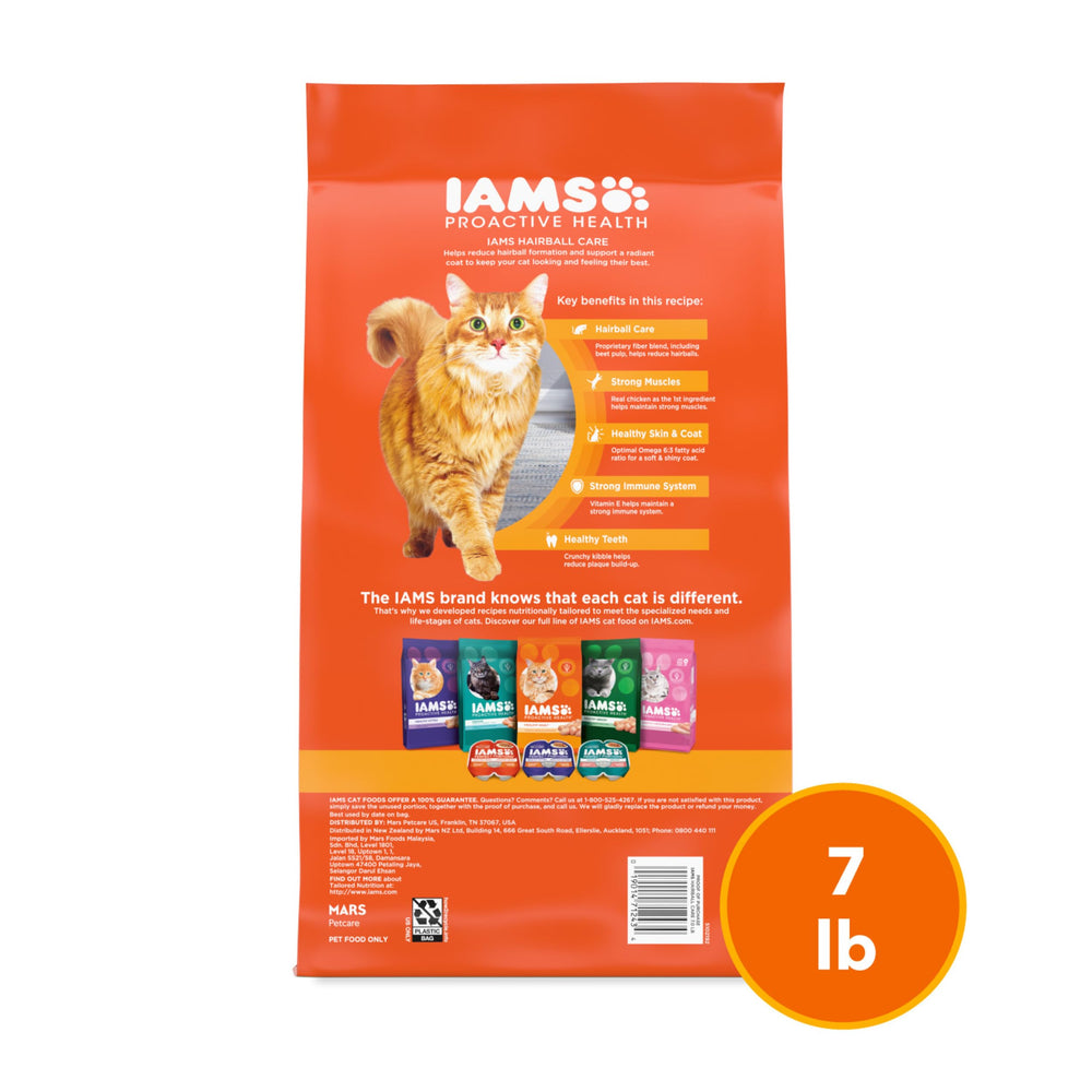 IAMS gato comiendo en cocina, promueve una rutina de alimentación saludable