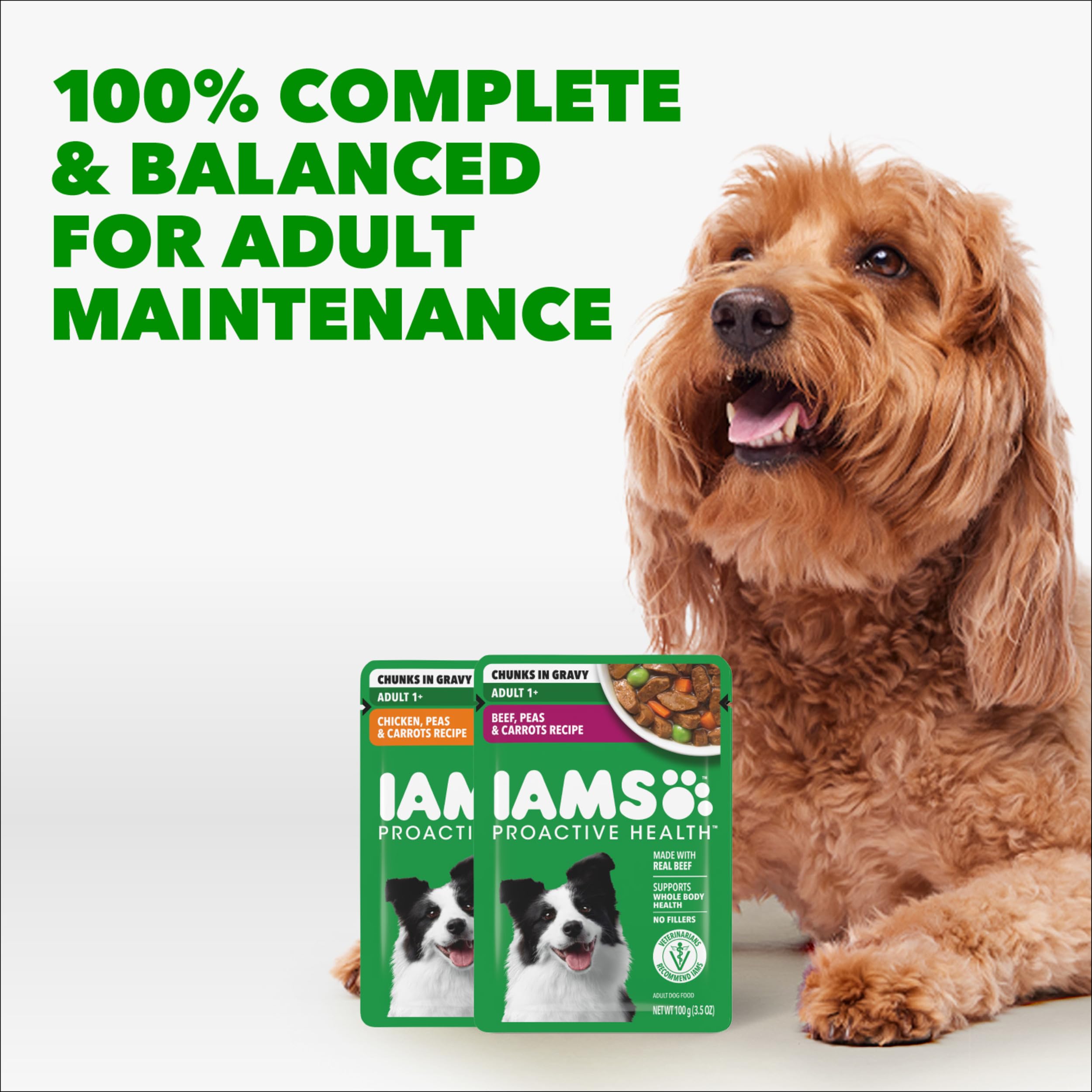 IAMS ingrediente carne real mostrada para destacar proteína de calidad