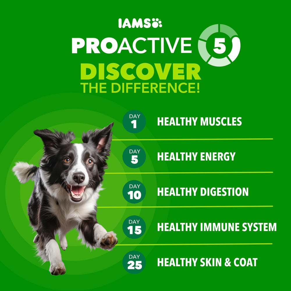 IAMS primer plano del kibble que destaca textura y digestibilidad