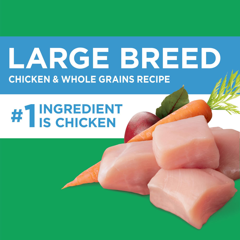 IAMS kibble next to a hand showing size suited for large-breed dogs