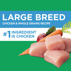 IAMS kibble next to a hand showing size suited for large-breed dogs