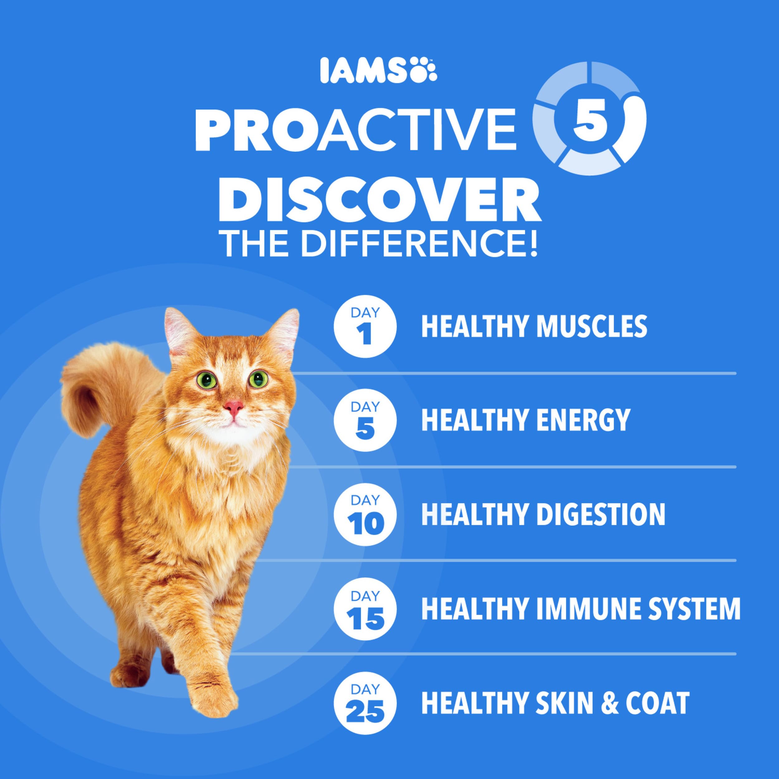 IAMS kibbles al lado de una moneda para comparar tamaño