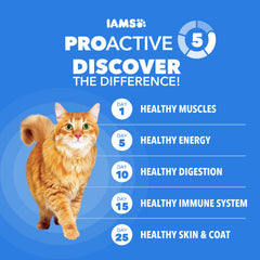IAMS kibbles al lado de una moneda para comparar tamaño