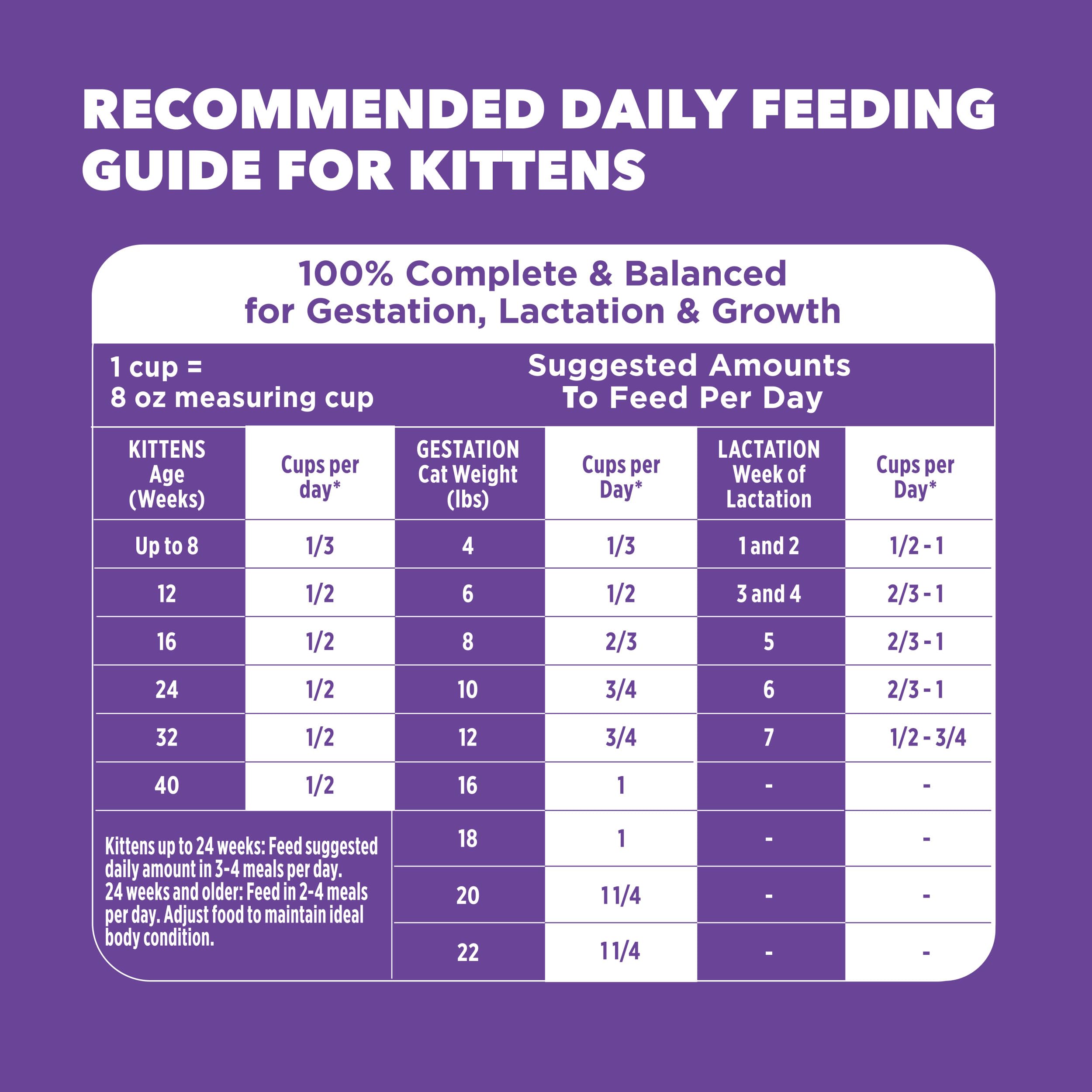 IAMS escena familiar de alimentación que muestra uso en hogar con gatito