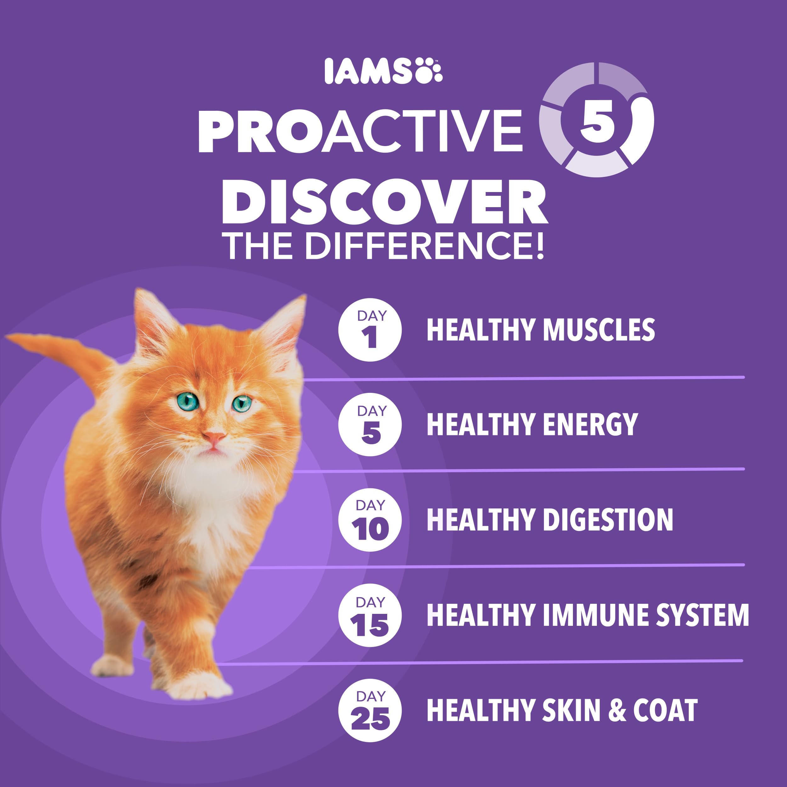 IAMS bolsa 7 lb junto a un objeto para comparar tamaño y cantidad