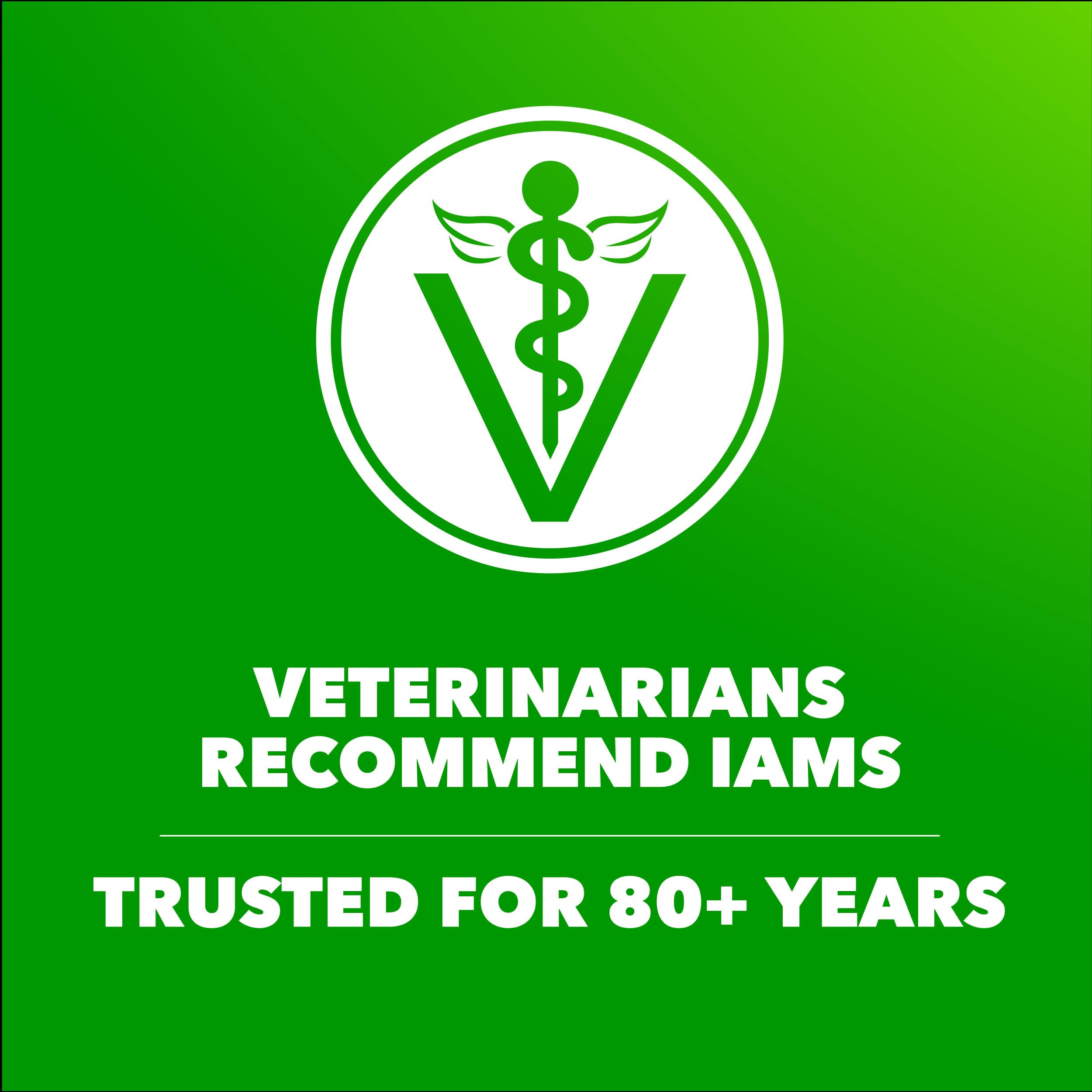 IAMS etiqueta nutricional en detalle mostrando información y garantías