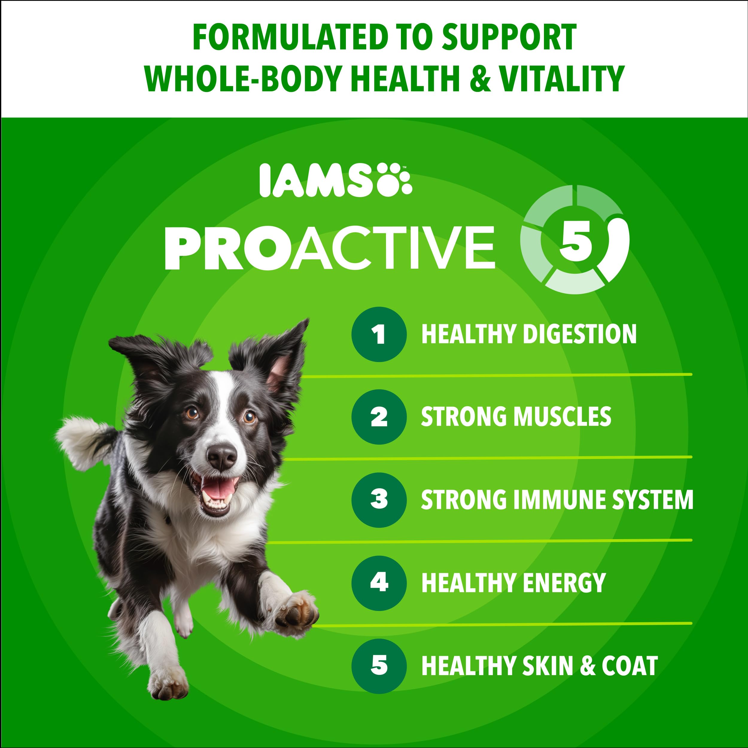 IAMS primer plano de croquetas minichunks mostrando textura crujiente y digestión facilitada