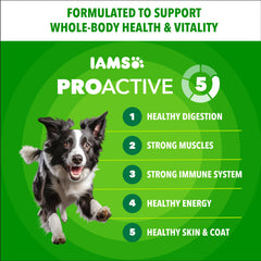 IAMS primer plano de croquetas minichunks mostrando textura crujiente y digestión facilitada