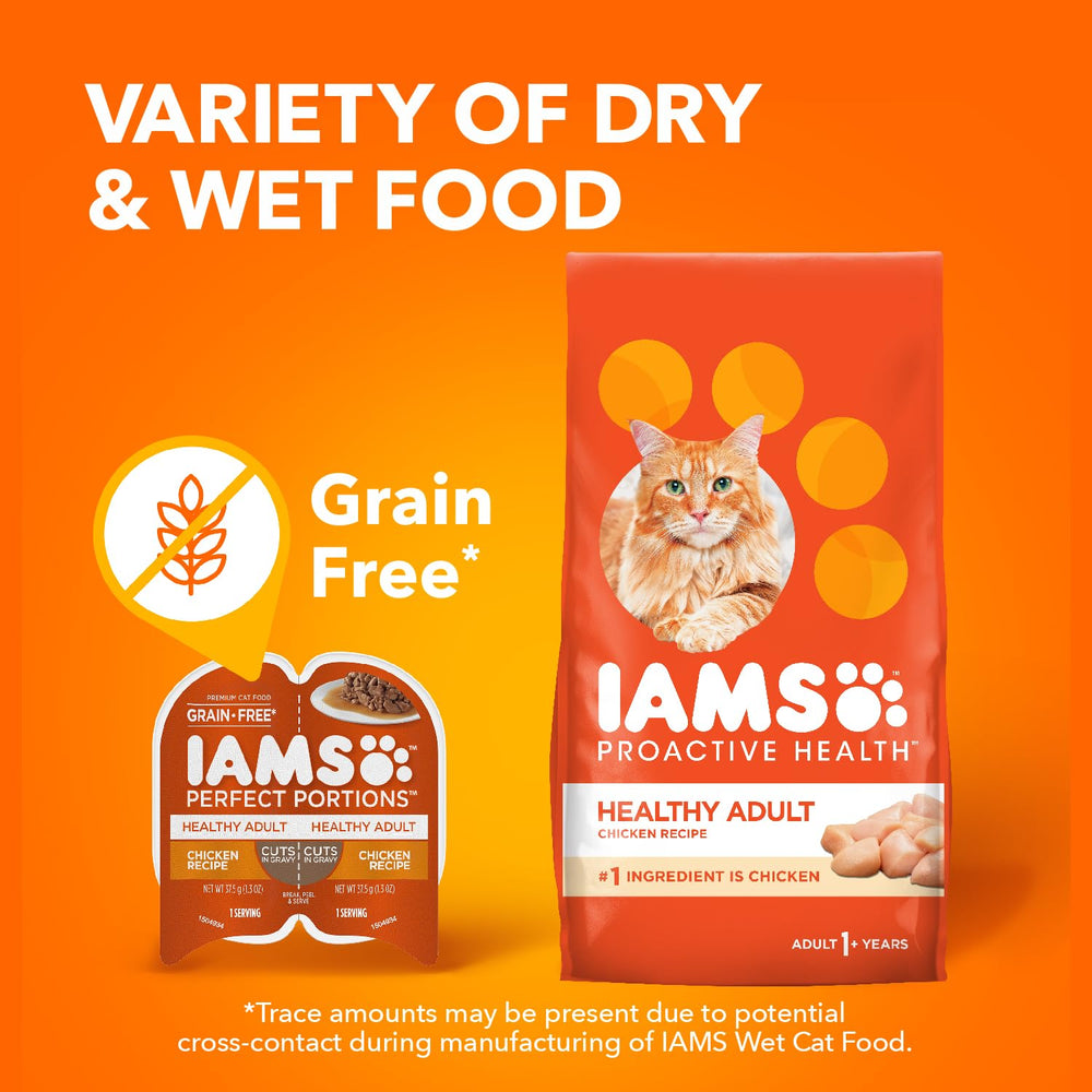 IAMS gato disfrutando la comida en cocina doméstica representando satisfacción y bienestar