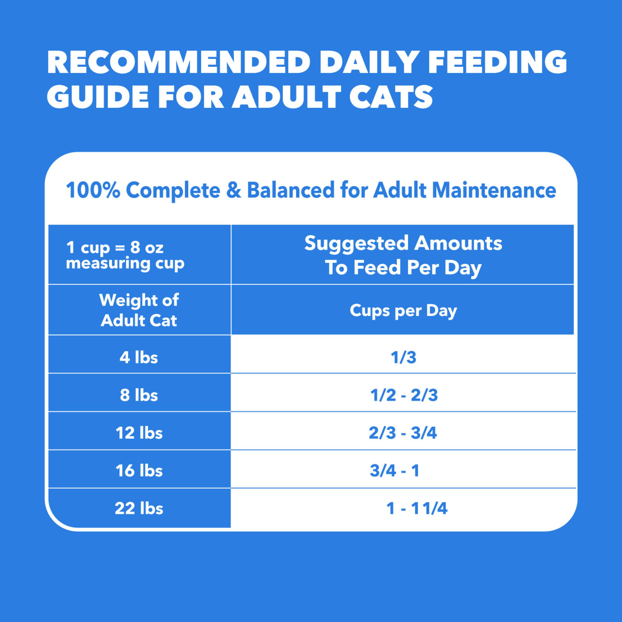 IAMS porción diaria en cuenco lista para servir al gato