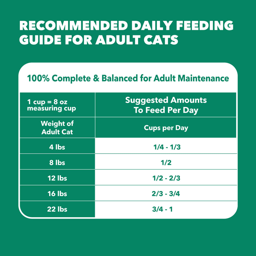 IAMS presentación 7 lb mostrando envase y ración estándar