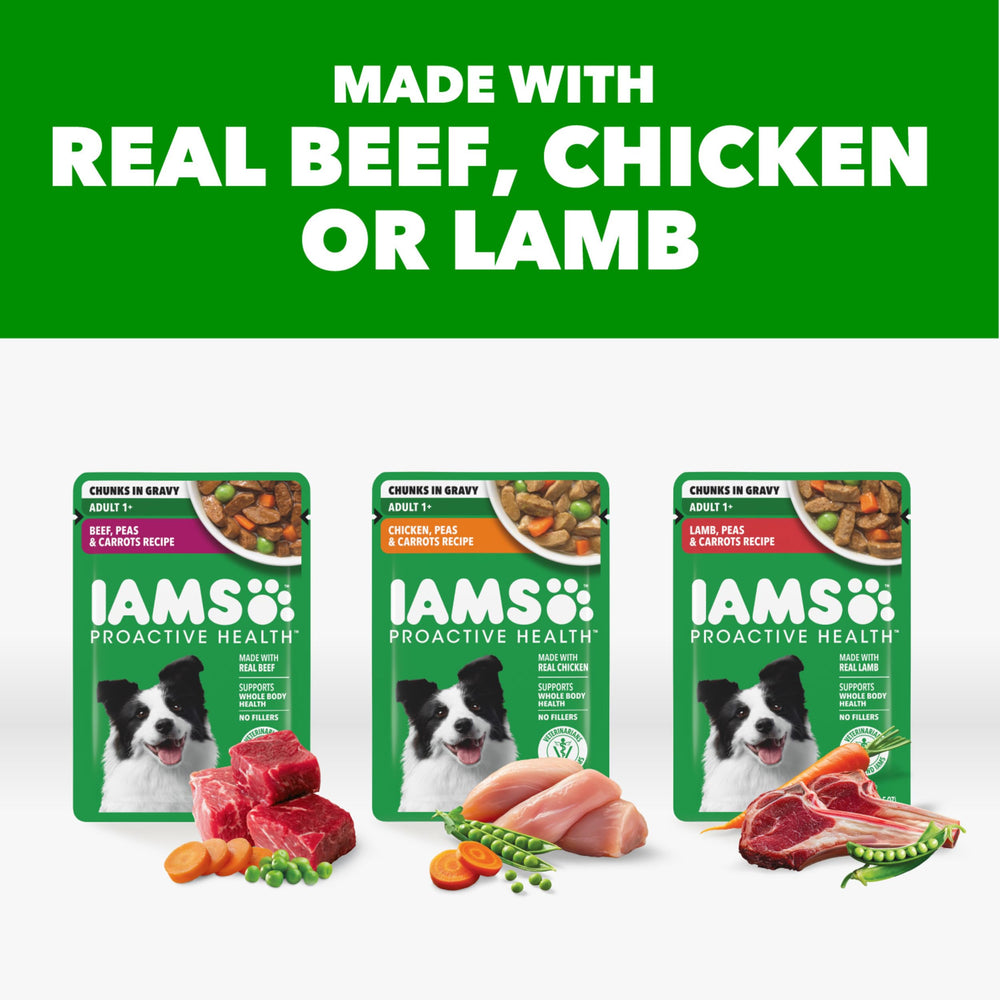 IAMS textura del alimento húmedo en primer plano, favorece aceptación