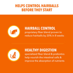 IAMS primer plano de croquetas, textura crujiente que apoya el cepillado natural