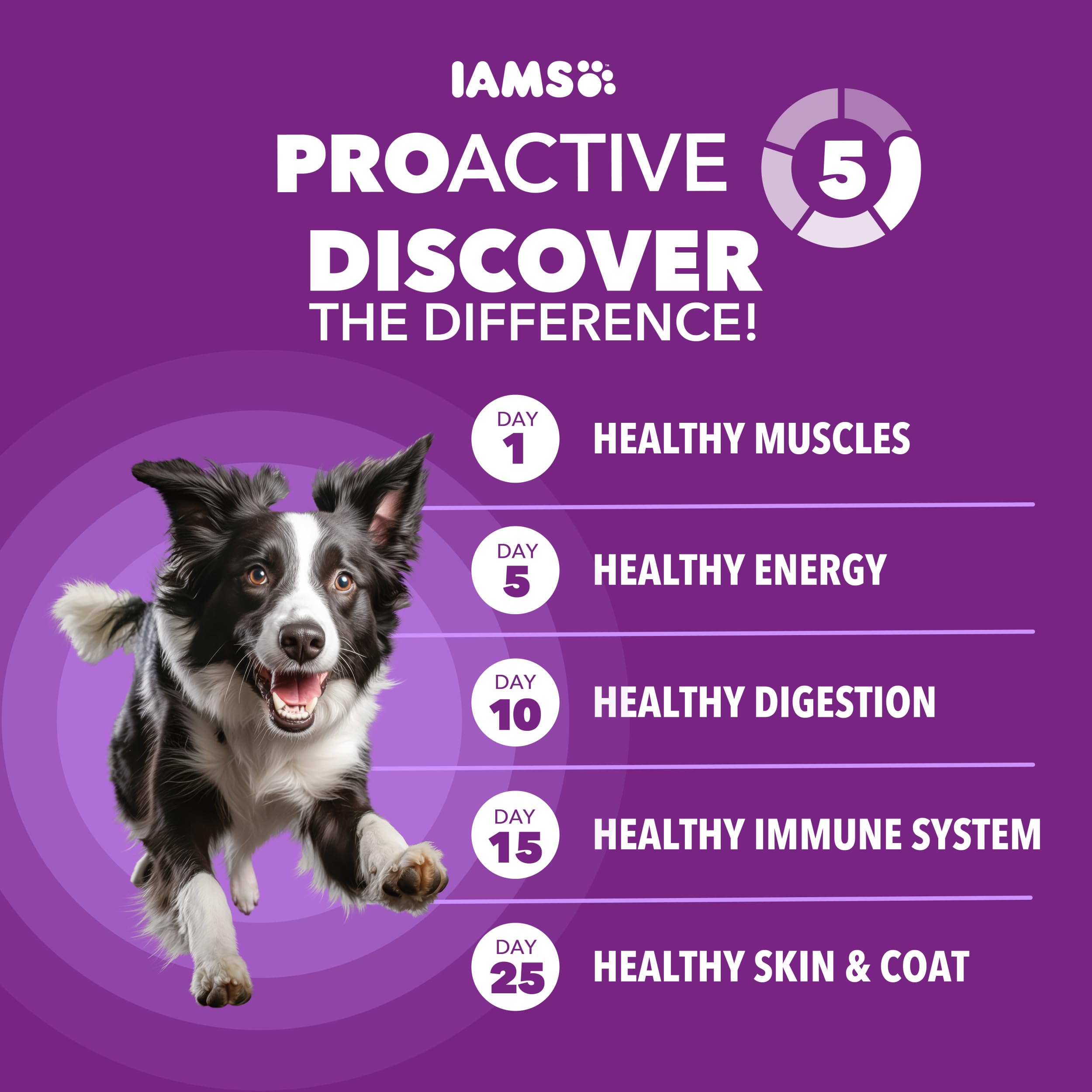 IAMS primer plano del kibble destacando textura que favorece masticación y digestión
