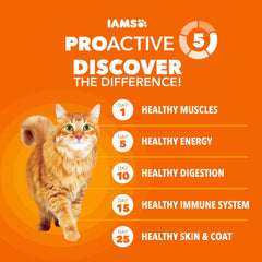 IAMS alimento servido en comedero interior para una alimentación rutinaria