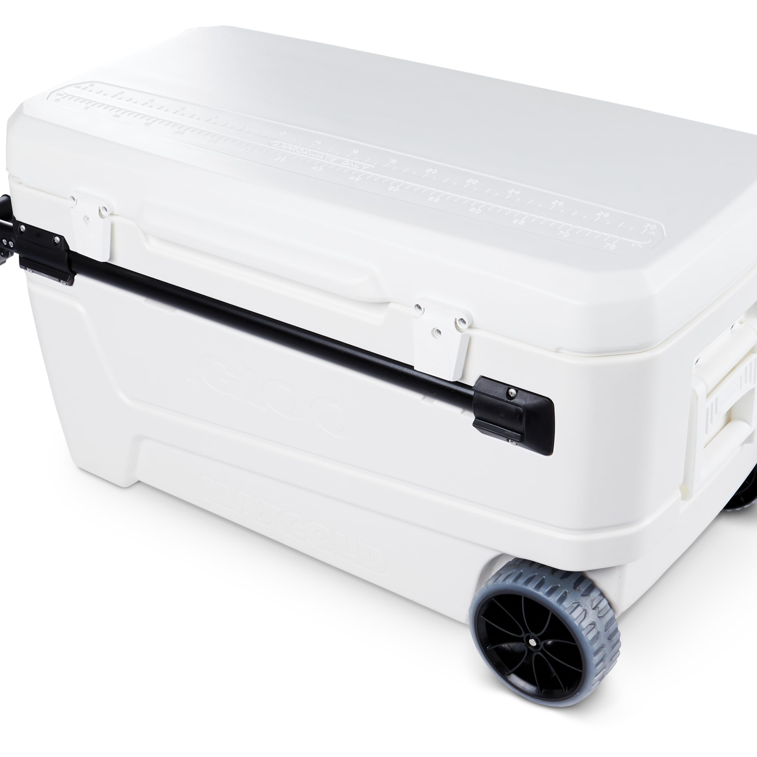 Igloo en uso en la playa demostrando movilidad y protección solar