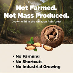 I'm A Nut nueces en cuenco listas para snack con aspecto apetitoso