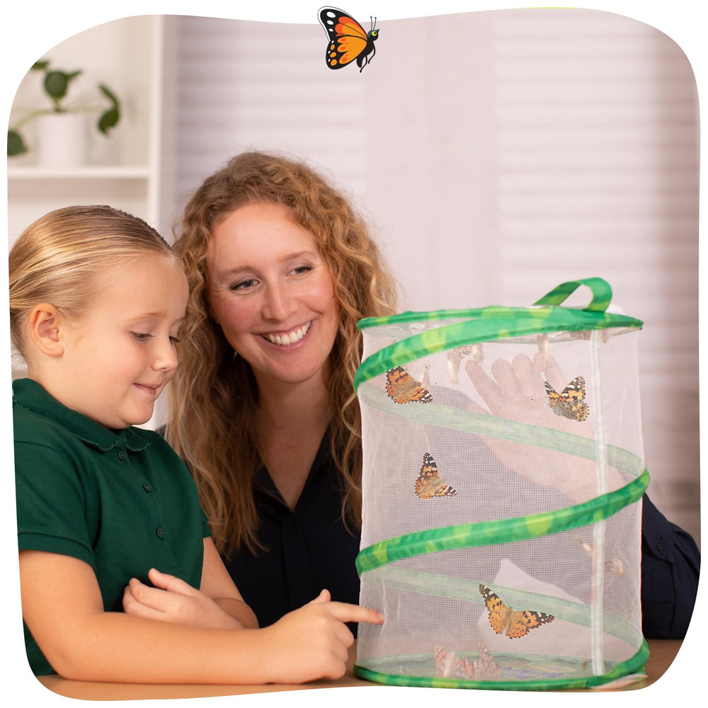 Insect Lore reusable feeder and pipette tools for precise feeding