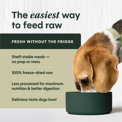 Instinct rehydrated beef meal in bowl showing appetizing raw-like texture