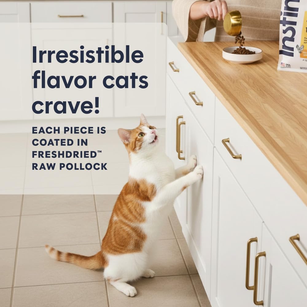 Instinct feeding bowl in kitchen demonstrating easy daily serving
