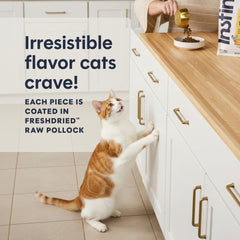 Instinct feeding bowl in kitchen demonstrating easy daily serving