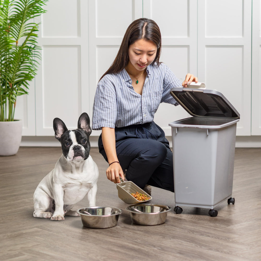 IRIS USA contenedor junto a objetos para comparar tamaño y capacidad