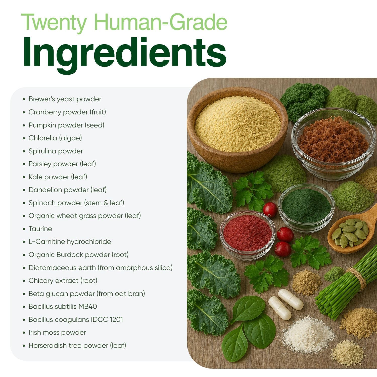 Iron Paws detalle de greens e ingredientes naturales, aporte nutriente denso