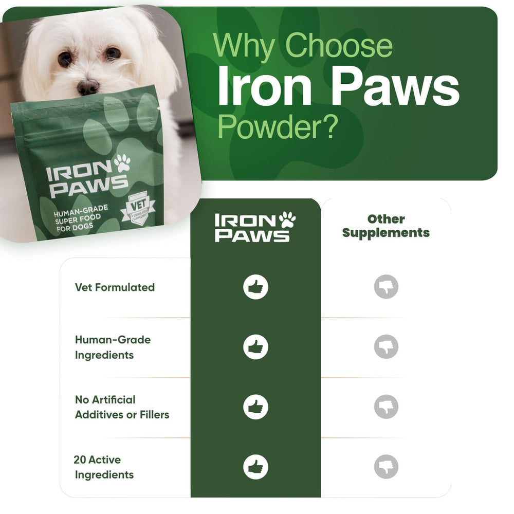 Iron Paws estilo de vida exterior con perro activo, apoyo a movilidad