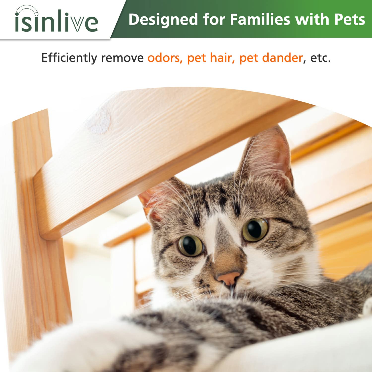 isinlive ambiente hogareño con purificador aportando confort olfativo