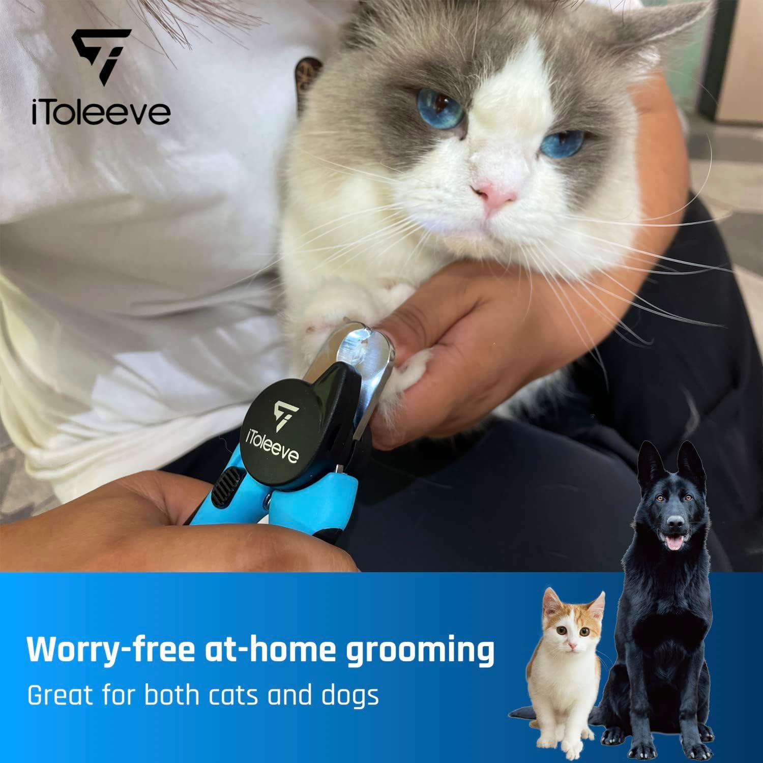 iToleeve cierre de seguridad y contenido listo para almacenamiento