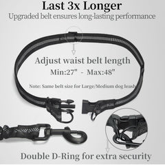 iYoShop clip metálico robusto enganchado al collar, sujeción segura durante paseos