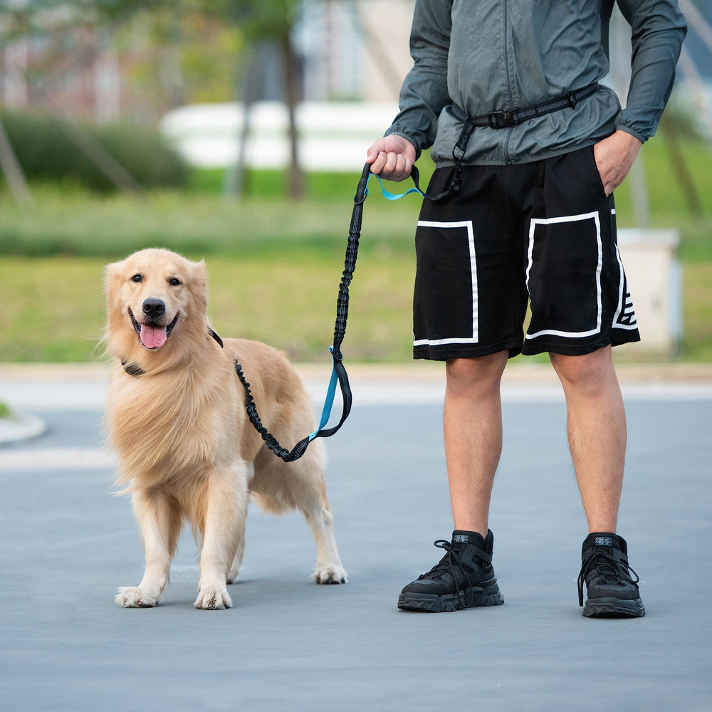 iYoShop correa en escenario de trote con perro, libertad manos libres al correr
