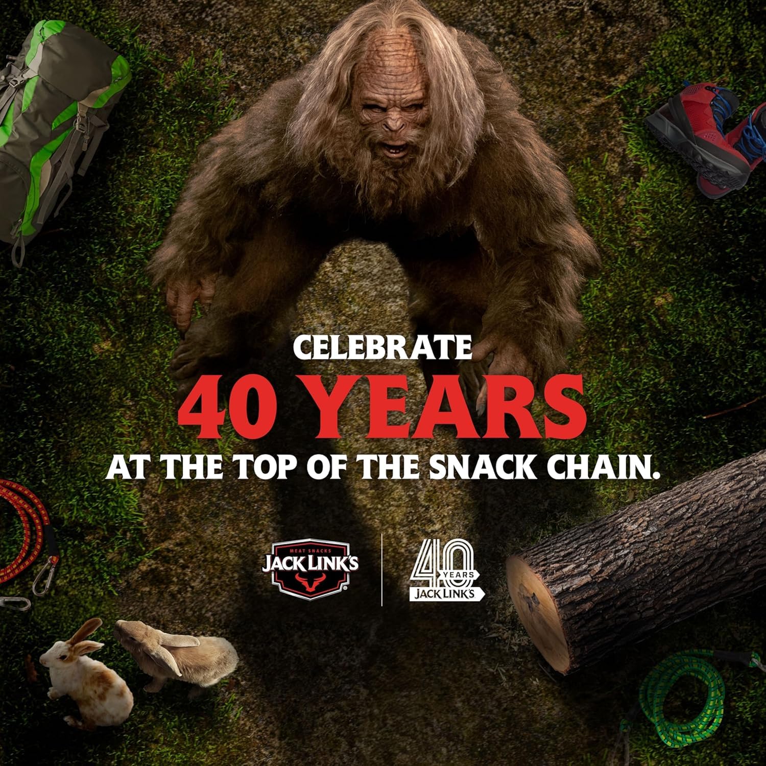 Jack Link's escena de picnic con jerky, snack compartible y portátil